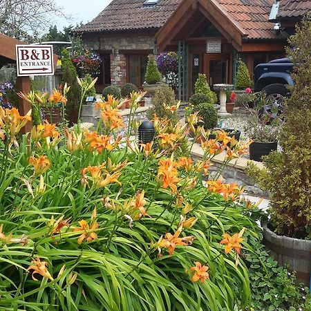 Bridge Farm Guesthouse Rooms Dundry Zewnętrze zdjęcie